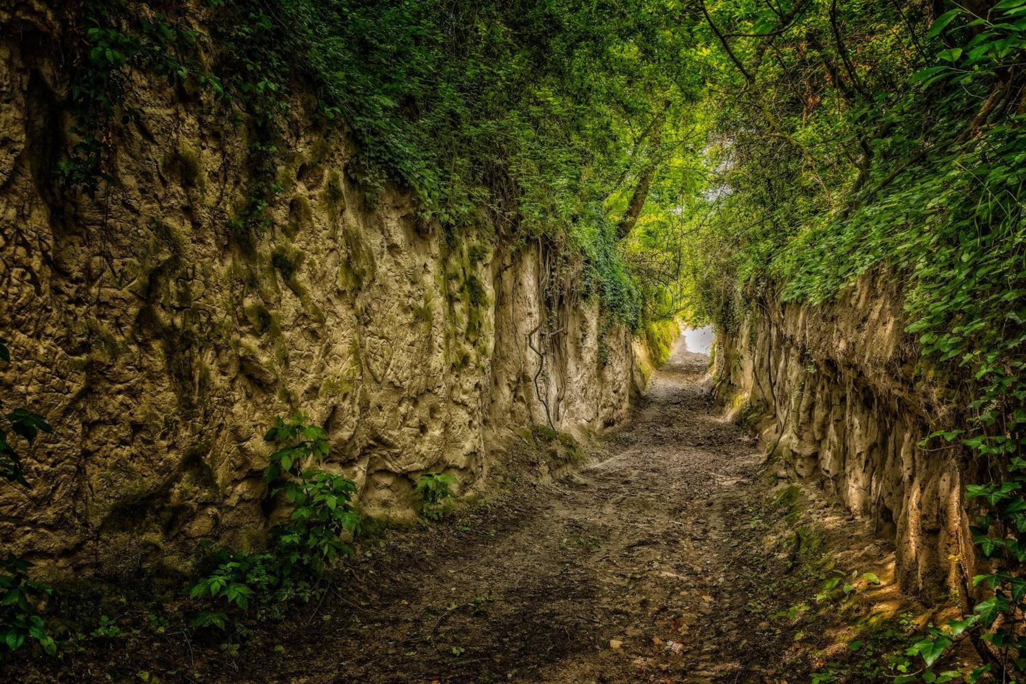 Dreilaendereck Am Kaiserstuhl Wasenweiler Exterior foto