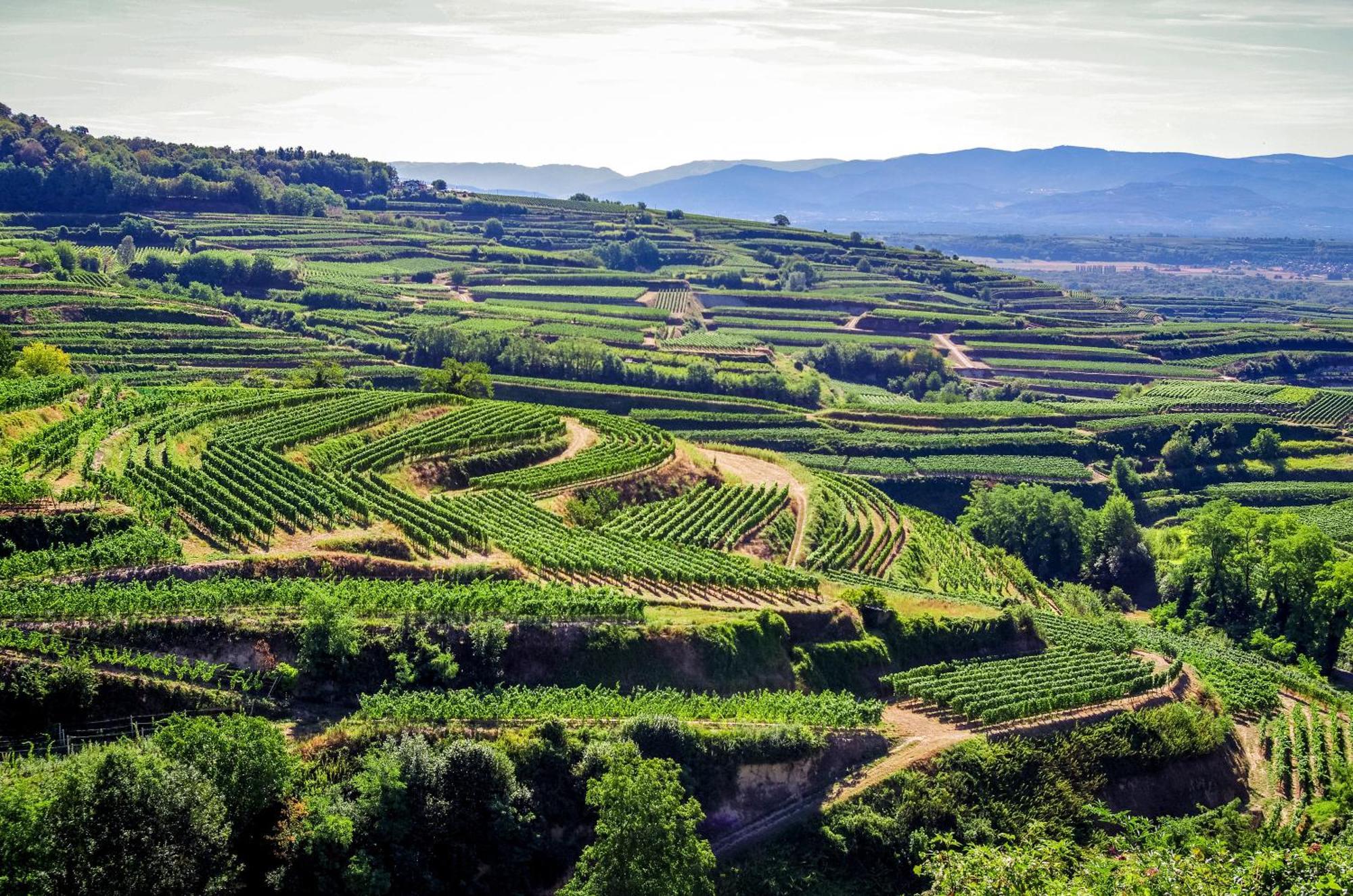 Dreilaendereck Am Kaiserstuhl Wasenweiler Exterior foto